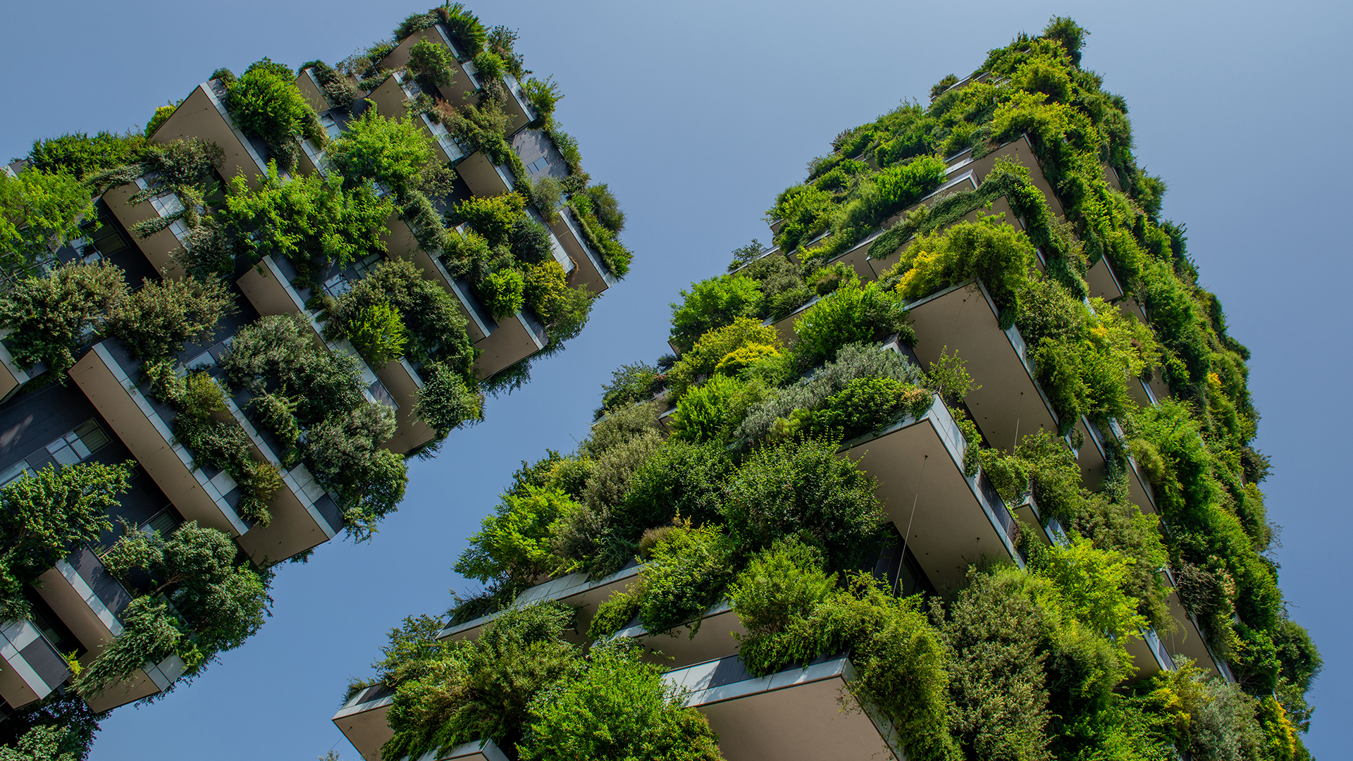 Bosco verticale di Milano